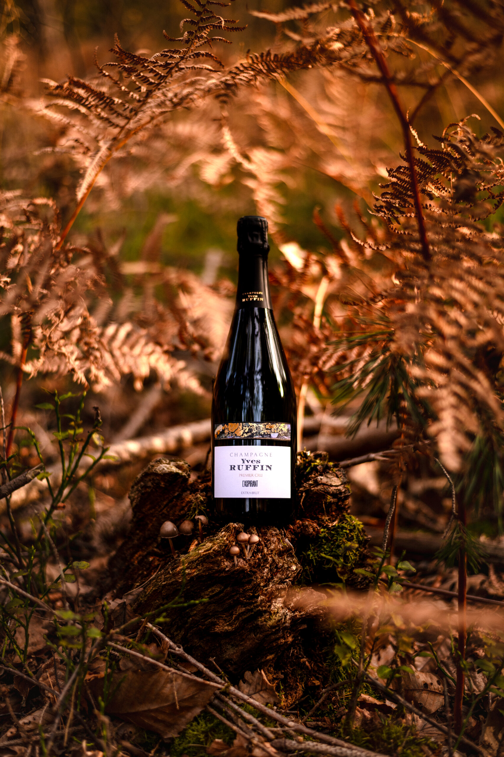 champagne bio champagne yves ruffin organic champagne